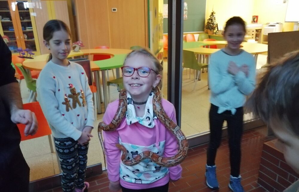 Procházka 3.B zimní přírodou Procházka 3.B zimní přírodou
