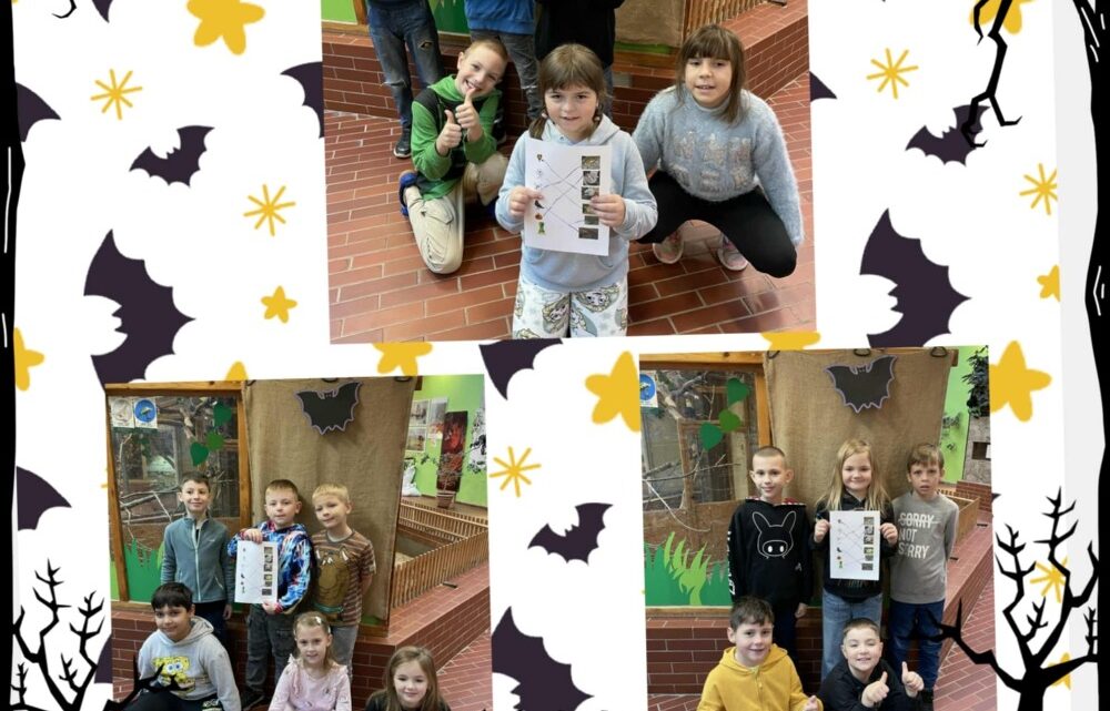 Halloween 1.A, 1.B, 2.B a 4.A v DDM Orlová