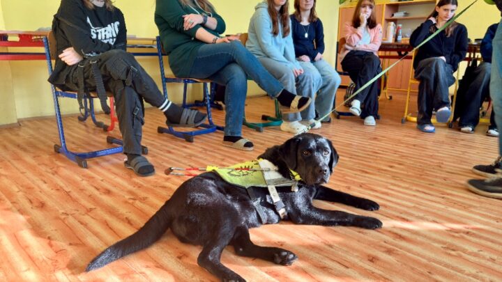 Vodicí pes v 7.B