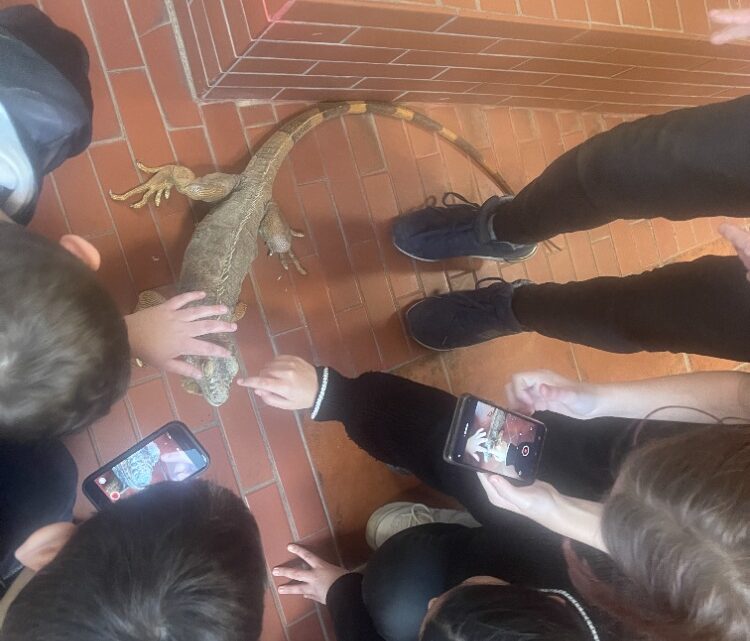 Za tajemstvím rybníků: 4.A objevovala život pod hladinou i kolem břehů