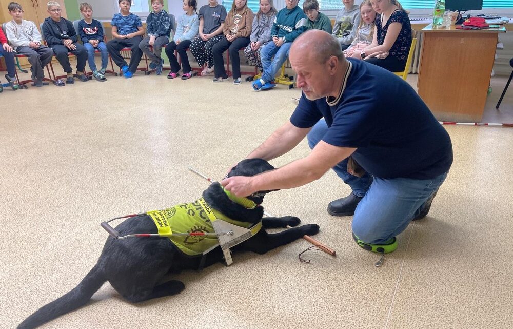 Vodicí pes na 1. stupni