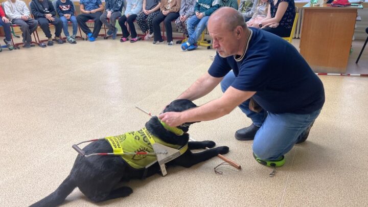 Vodicí pes na 1. stupni