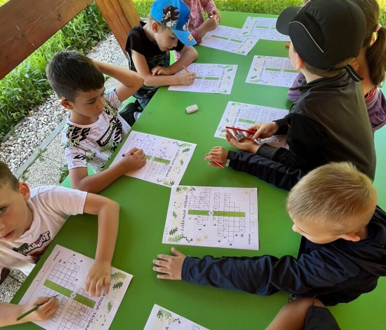 Prvňáčci: Kdo žije v trávě?